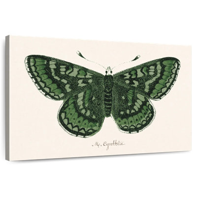 Brampt papillon antique I