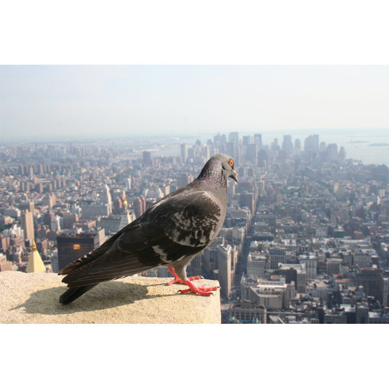 Braydon High Above Manhattan by Liveostock - Wrapped Canvas Print, 30cm H x 46cm W x 3.8cm D