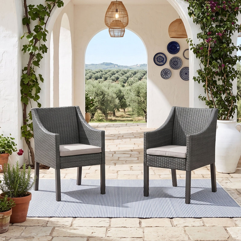 Ensemble de 2 chaises d'extérieur en osier