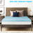 Solano 2'' Memory Foam Mattress Topper-991038699