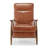 Sarasota Wood Arm Push Back Recliner-884593269