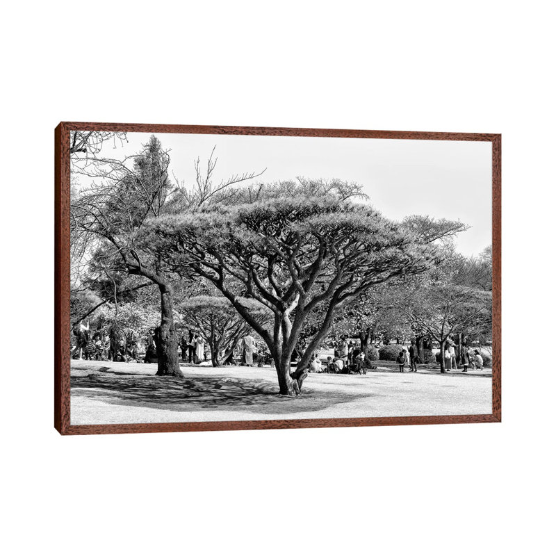 Japanese Tree 1 Piece Floater Frame Wall Art on Canvas, Classic Wood Framed