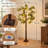 71" Modern Olive Tree Floor Lamp with LED Lights Dimmable
