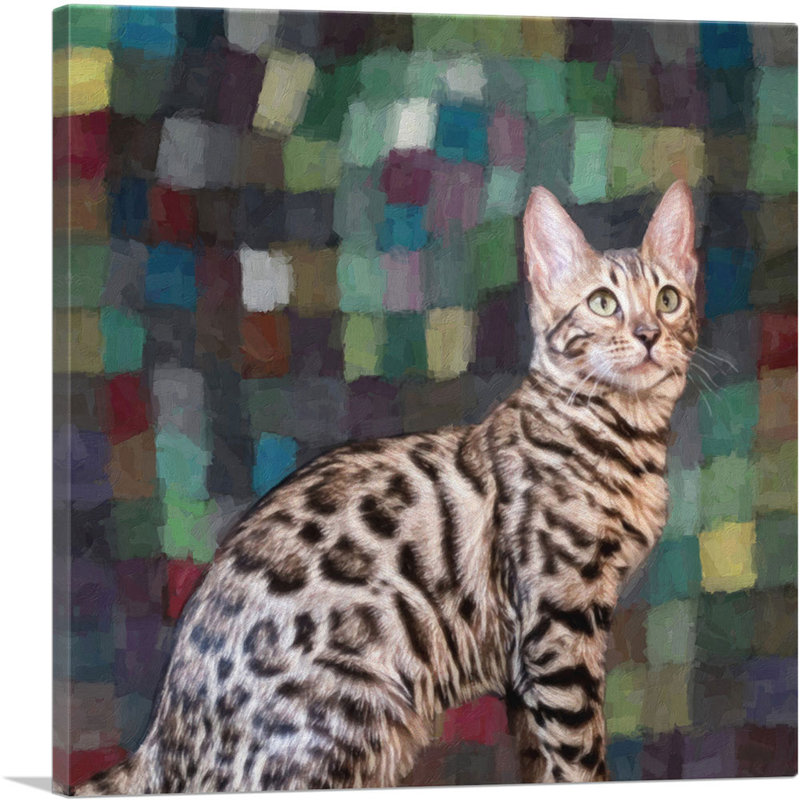 Reproduction d'art graphique sur toile Bengal Cat Breed, H 18 po x l 18 po x 1,5 po