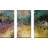 "What We Will Be.  1 John 3:2" By Mark Lawrence 3 Piece Graphic Print Set On Canvas