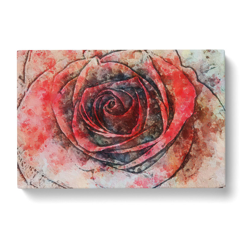 Rose In Abstract - Wrapped Canvas, 50cm H x 76cm W x 3cm D