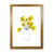 Oak Framed is unavailable