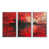Silver Floater Framed Canvas