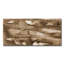 Sepia Print-50495311