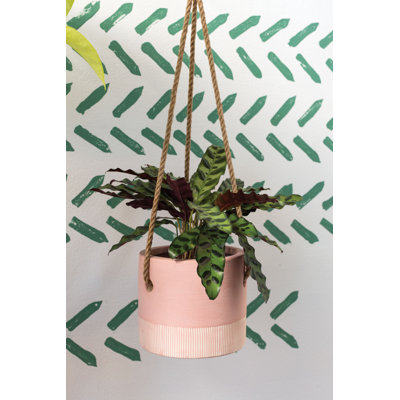 Ceramic Hanging Planter