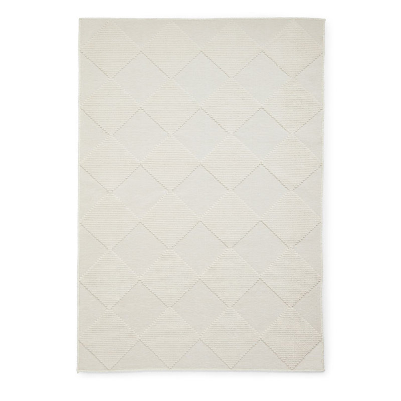 Rumessa Shag 80cm X 150cm Area Rug