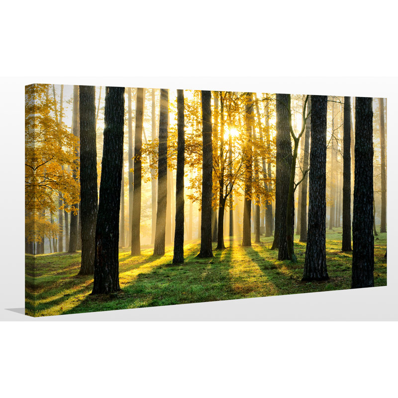 " Many Paths ", 24" H x 40" W x 1" D