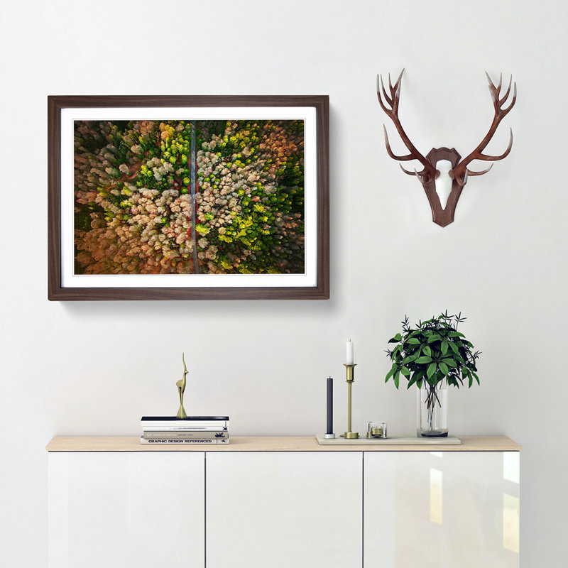Separating the Forest - Picture Frame Graphic Art Print, Walnut, 40cm H x 60cm W x 2cm D