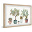 My Orange Trees - Single Picture Frame Painting-1369011631