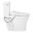 Millspring Low-Flow Two-Piece Elongated Toilet with Bidet Seat - White - Brushed Nickel Handle-117795448