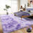 Super Soft Tie-Dyed StarPurple Rug 6x9 ft, Oversized Living Room Rug, Thick Pile Rug, Fluffy Tufted Room Rug For Room Bedroom Large Cozy Fuzzy Rug Room Home Decor Aesthetic Soft Non Slip Rug Decor Aesthetic, Christmas Decor, Halloween Decor-1444655735