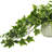 13'' Faux Ivy Plant in Glass Vase