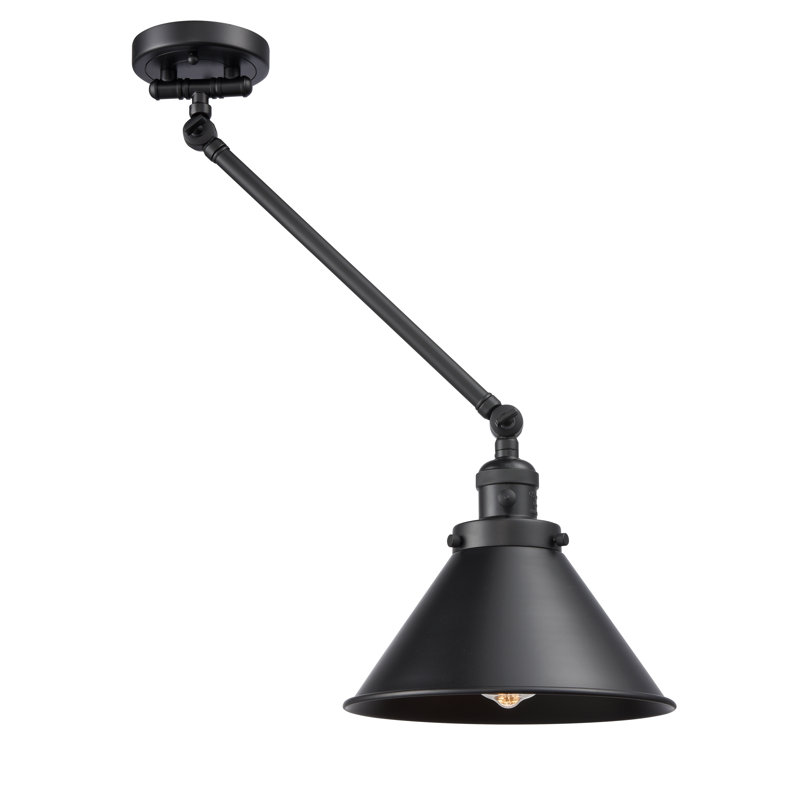 Bras pivotant à 1 lumière Paylor, DEL, Noir mat, Noir mat
