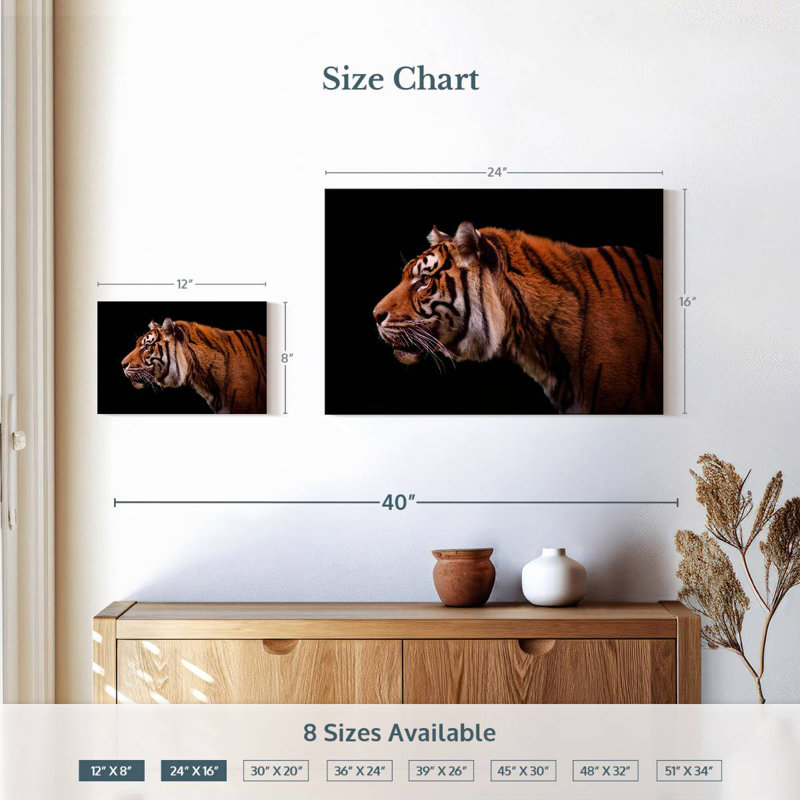 Brampt Royal Tiger, 16" H x 24" W