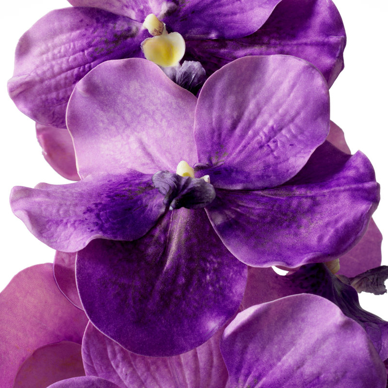 Bouquet of Vanda Orchids Real Touch 24 Pcs, Purple