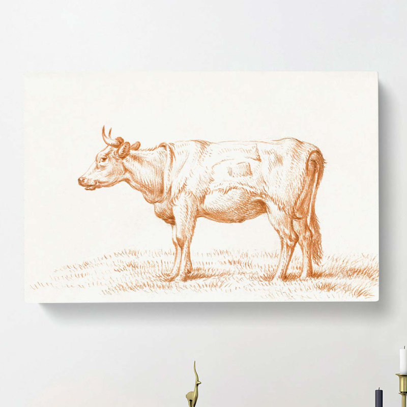 The Study Of A Cow by Jean Bernard - Wrapped Canvas, 35cm H x 50cm W x 3cm D