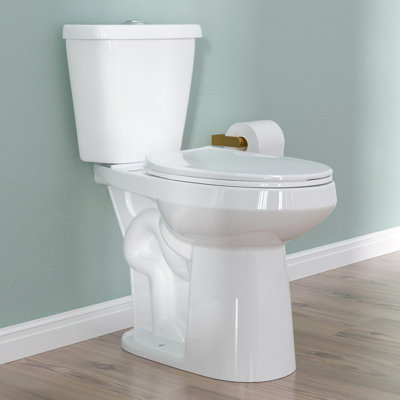 21 in. Tall Two-Piece Toilet 1.1  GPF /1.6 GPF Elongated Bowl Dual Flush for Seniors & Tall Users -  Nature Home Pro, DM-T0169E