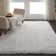 Dalrymple Performance Indoor Rug
