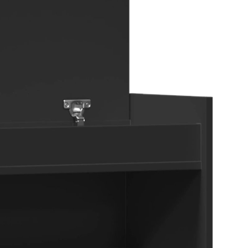 12 Pair Shoe Storage Cabinet, Black