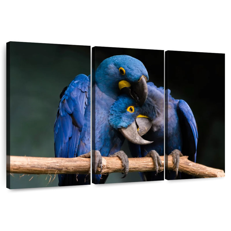 Brampt Hyacinth Blue Macaws, 24" H x 38" W