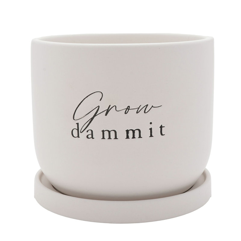 Ceramic Pot Planter