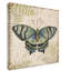 «Butterfly Daydream 4» de Deagen, impression sur toile tendue-30357563