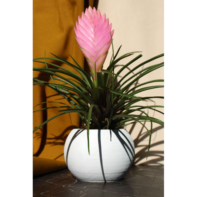 Lykeisha Handmade Pot Planter, Grey