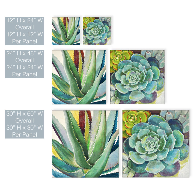 Brilliant Succulents I/II by Norman Wyatt Jr. - Canvas Print Set, 24" H x 48" W, No Mat, Wrapped Canvas