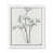 Satin White Framed Paper selected