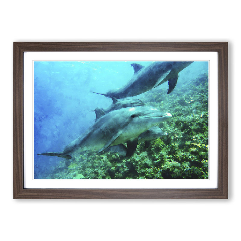 Dolphins - Picture Frame Painting, 36cm H x 48cm W x 2cm D, Walnut Framed