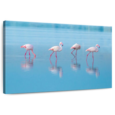 Flamants roses du lac bleu Brampt