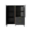 Amolika 2 - Door Standard Accent Cabinet