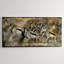 Springbok Print by Austin Beiv-25707338-25707342