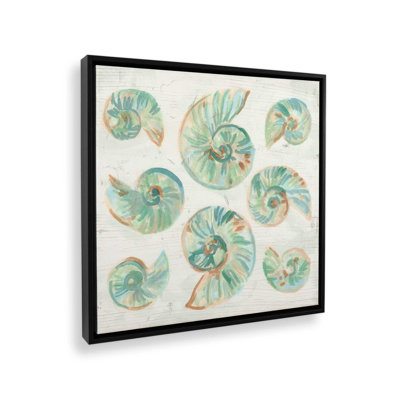 Reproduction d'art sur toile Saltwashed Shells IV par June Erica Vess