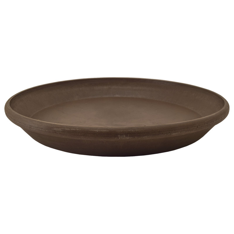 Soucoupe Rogalski, 10 po, Chocolat