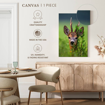 Deer Peeking