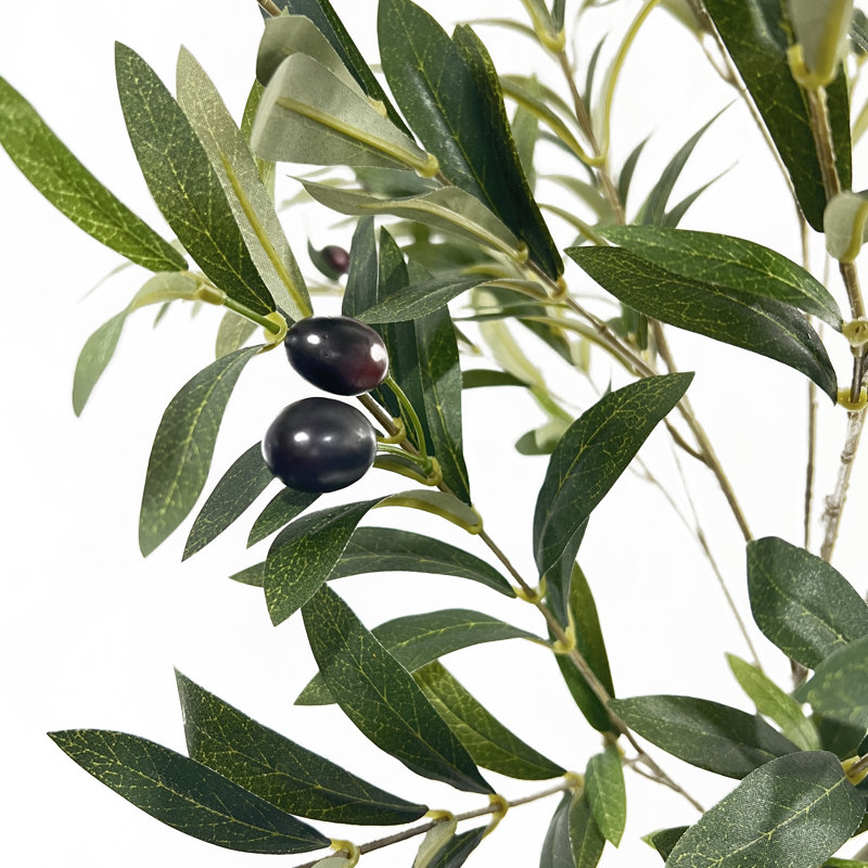 Aarav Faux Olive Tree Tree in Pot, 59" H x 23" W x 23" D