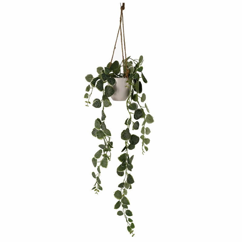 Hanging Plants 90cm Faux String Of Hearts (Ceropegia Woodii) Plant in Planter