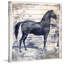 « black cheval ii », reproduction d’art sur toile tendue-851773356