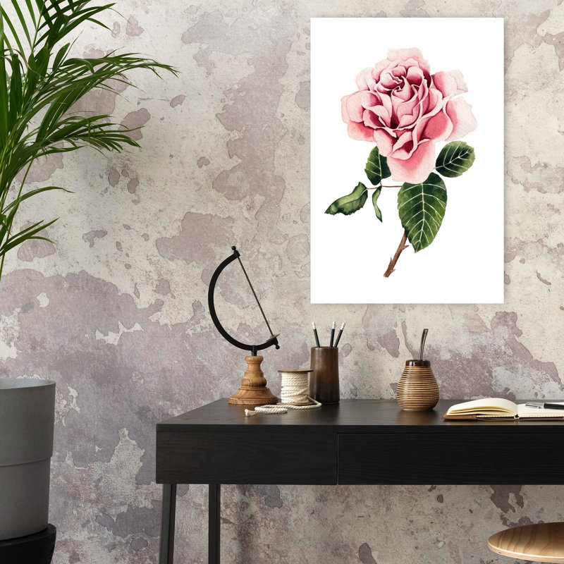 Watercolor Pink Rose by Salome - Wrapped Canvas Print, 60.96 cm H x 40.64 cm W