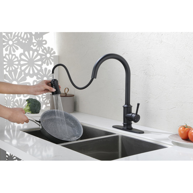 Kitchen Faucet With Pull Out Spraye, Matte Black