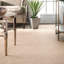 Bledsoe Solid Colour Area Rug-24760071