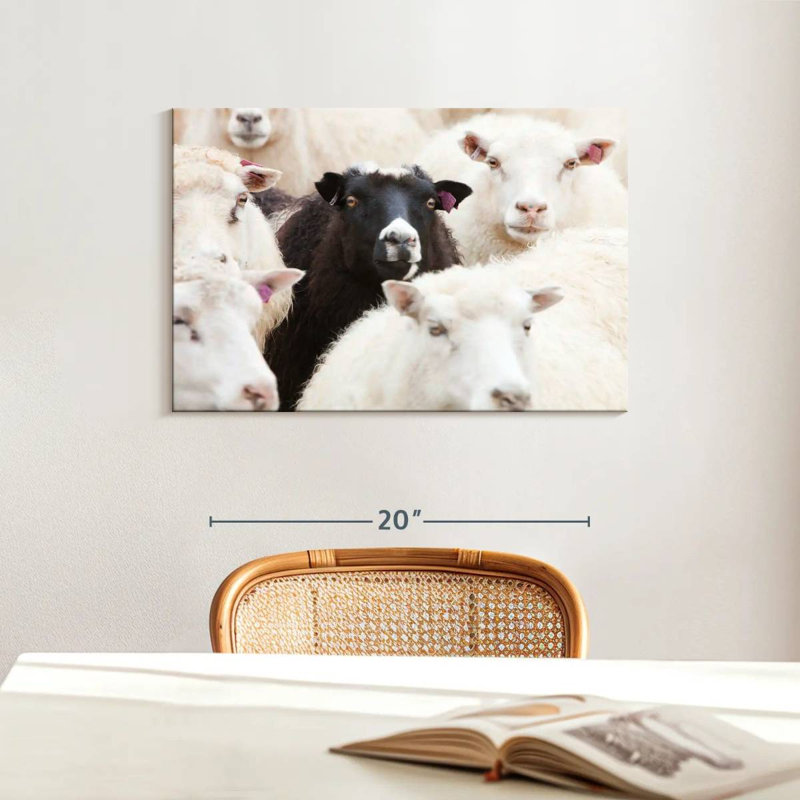 Brampt Standout Black Sheep, 16" H x 24" W