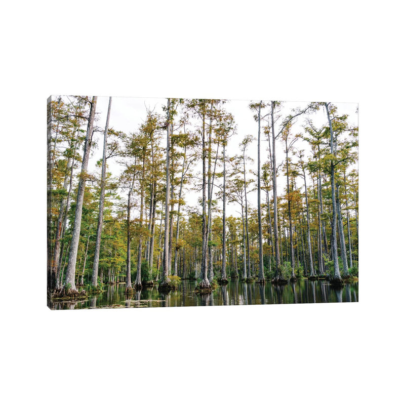 Charleston Cypress Gardens LII 1 Piece Wall Art on Canvas, 30.48cm H x 45.72cm W x 1.91cm D, Wrapped Canvas
