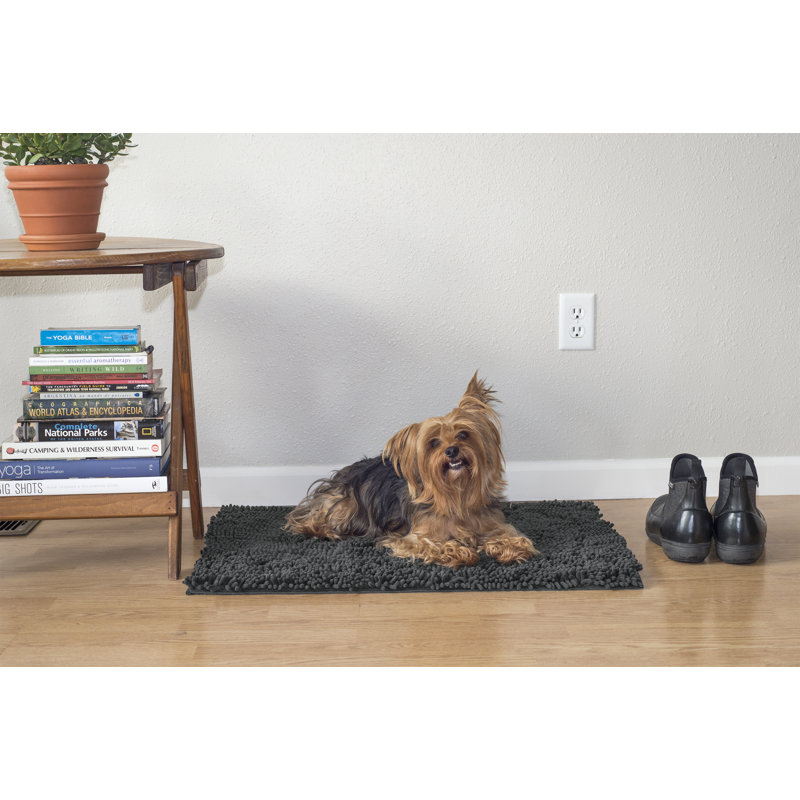 Charcoal Gray Medium Absorbent Pet Shammy Rug